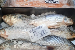 Screenshot_20251231_154246_Photos2